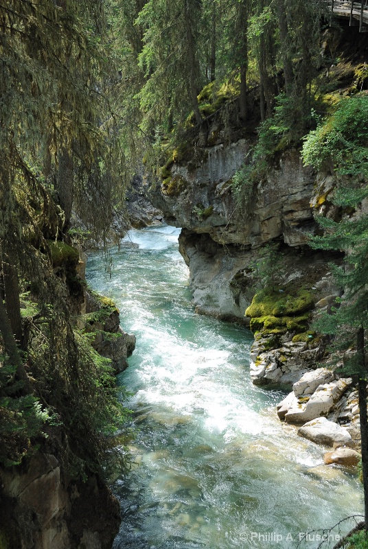 Sunlit Creek View  - Johnson creek - Banff