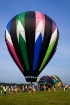 Hot Air Balloon F...