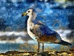 Painted Seagull