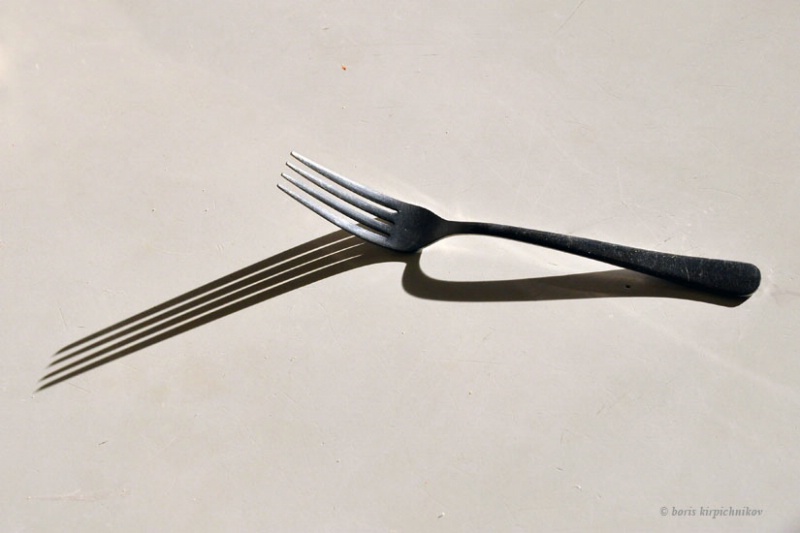 Fork & Shadow