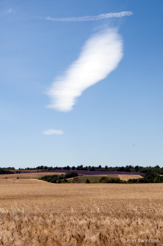 Surprising landscape - ID: 8733006 © Ann E. Swinford