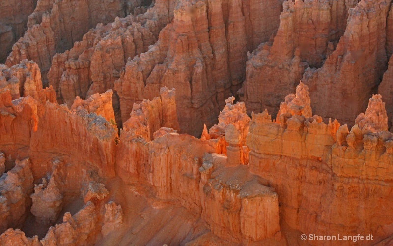 Bryce Canyon Fairyland - ID: 8737717 © Sharon L. Langfeldt