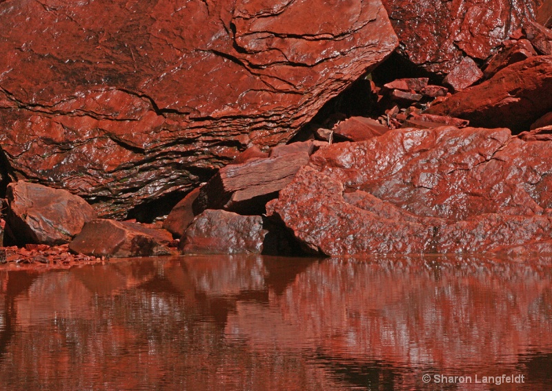 Red Rock Reflection - ID: 8737743 © Sharon L. Langfeldt