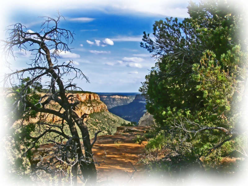 Soda Canyon, Mesa Verde National Park, CO - ID: 8738214 © John M. Hassler