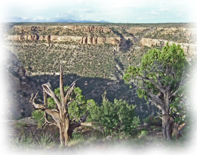 Hemenway House across Soda Canyon, Mesa Verde Park - ID: 8738218 © John M. Hassler