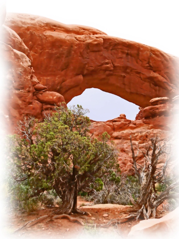 South Window Arch, Arches National Park, UT - ID: 8738247 © John M. Hassler