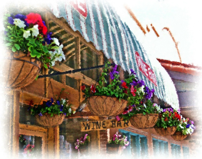 Flowers at the Wine Bar, Durango, CO - ID: 8738269 © John M. Hassler