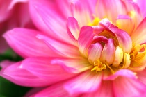 April 2024 Photo Contest 2nd Place Prize Winner