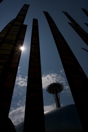 Space Needle And Grass Blades