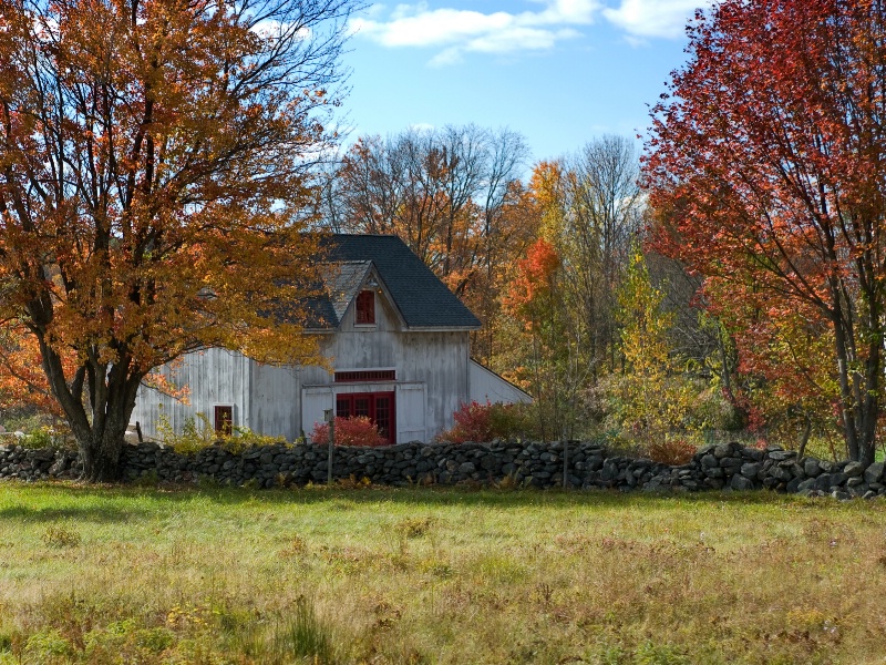Autumn Cottage