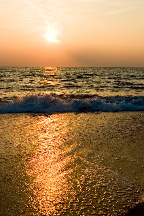 Sunrise on the Beach 6 - ID: 8757791 © James E. Nelson