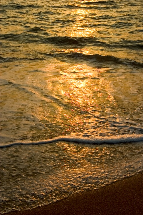 Sunrise on the Beach 7 - ID: 8757792 © James E. Nelson