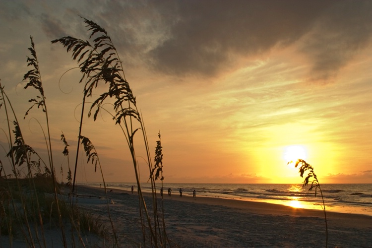 Sunrise on the Beach 10 - ID: 8757810 © James E. Nelson
