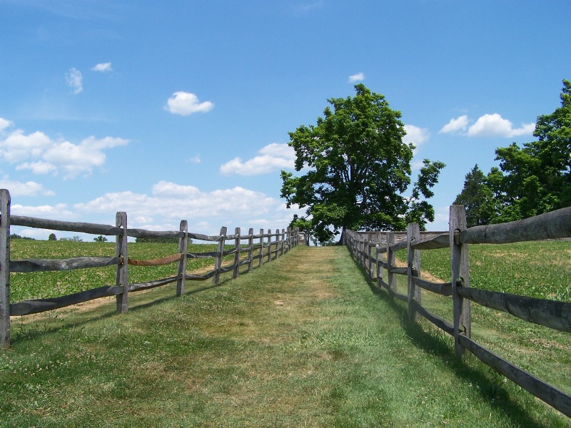 Along the path