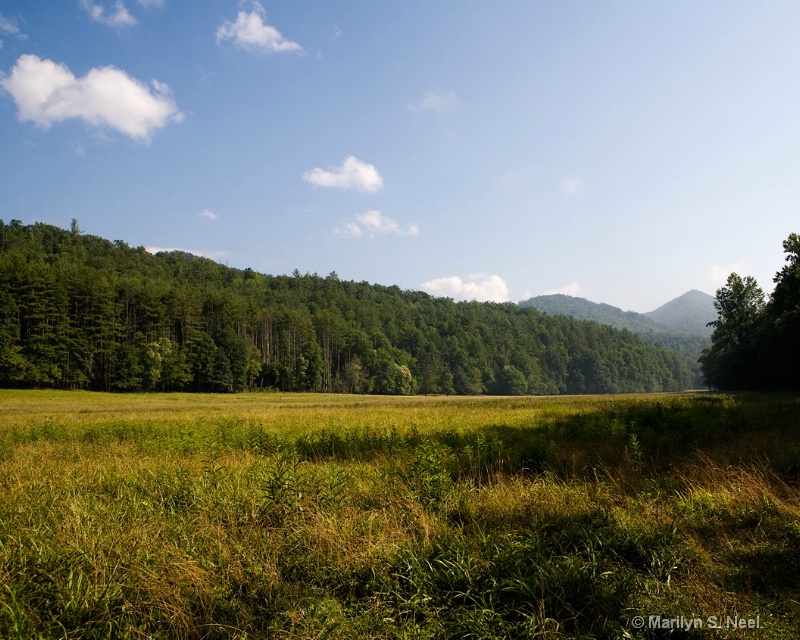 cataloochee 5173