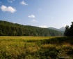 cataloochee 5173