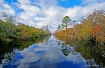 Okefenokee Wildli...
