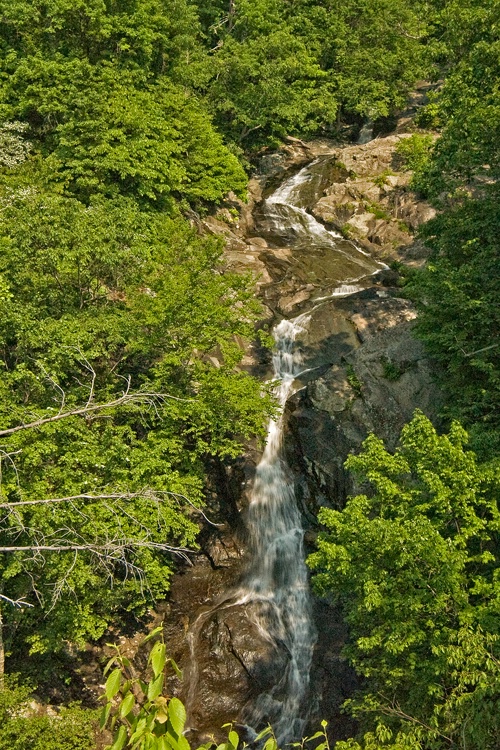 White Oak Canyon Falls #1 - ID: 8767551 © george w. sharpton