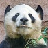 © Kurt Kettelhut PhotoID # 8767802: china 28
