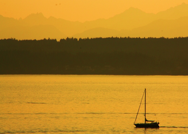 puget sound evening