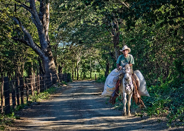 Costa Rica Cowboy