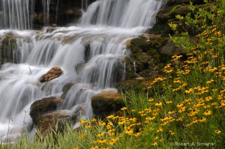 "Waterfall and flowers"