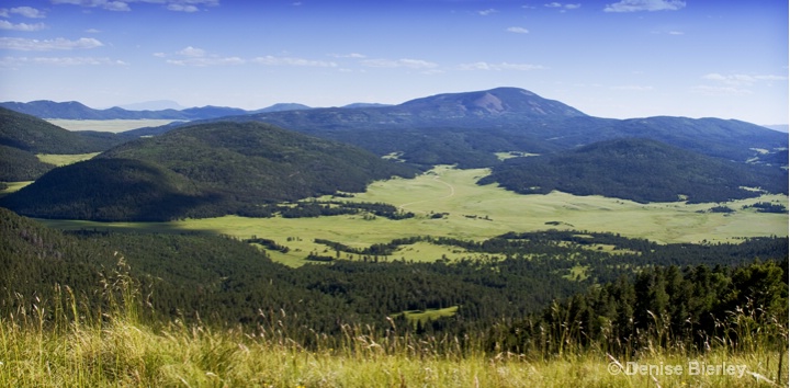 North Rim Panorama - ID: 8793150 © Denise Bierley