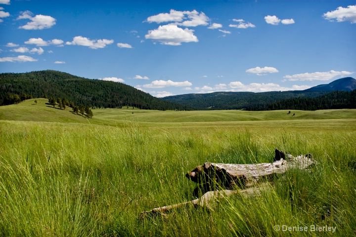 Rio San Antonio Valley - ID: 8793847 © Denise Bierley