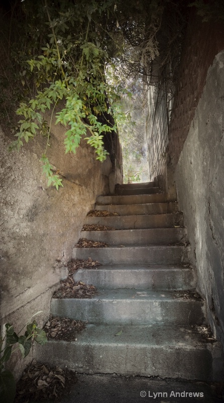 Bisbee Steps - ID: 8794628 © Lynn Andrews
