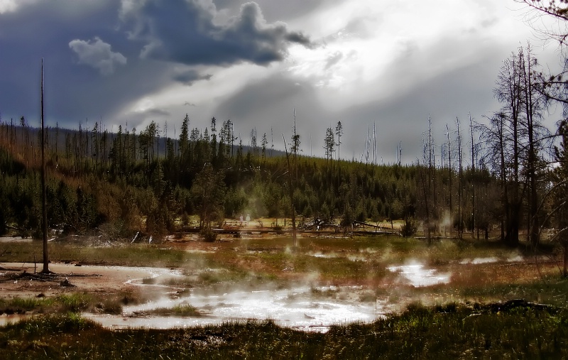 Artist Paint Pots ~ Yellowstone