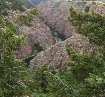 Gunnison
