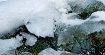 Snow & Ice