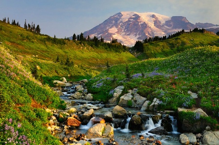 Early Light on Edith Creek