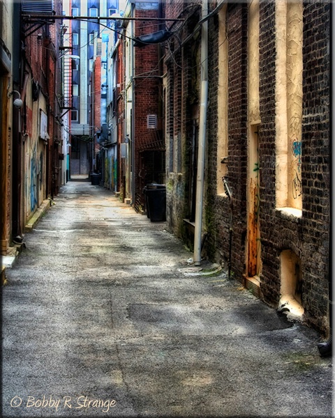 ~ The Alley ~