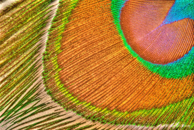 Feather HDR