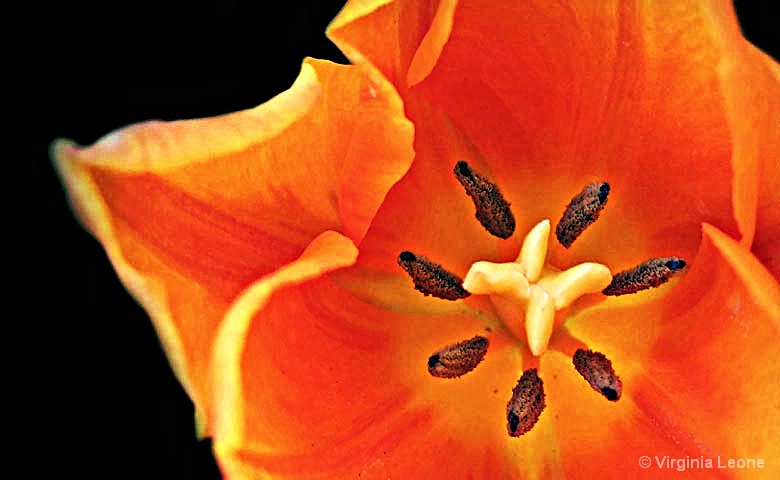 img2
