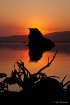 Mono Lake Dawn Si...