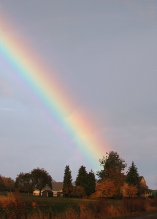 new rainbow for teresa