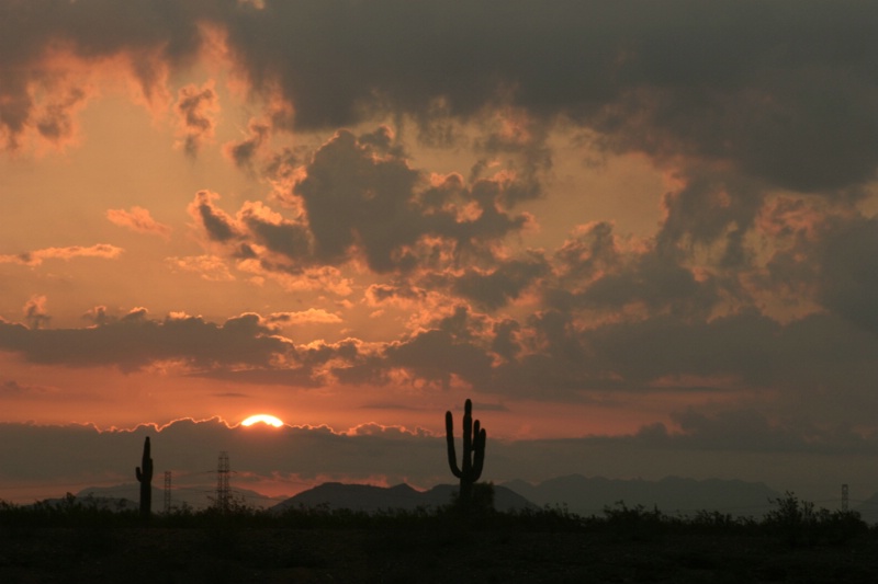 Good Morning, Arizona - ID: 8839506 © Patricia A. Casey