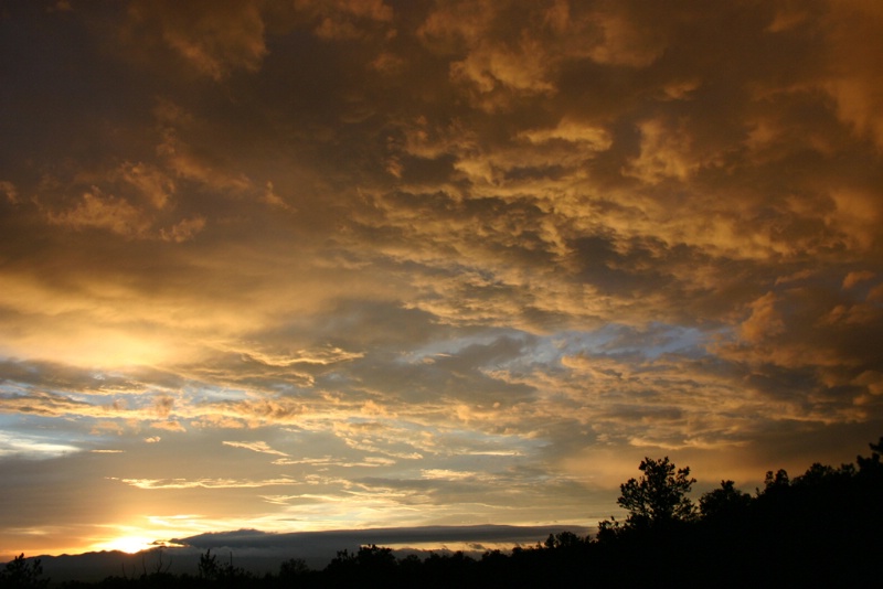 New Mexico Sunset - ID: 8839536 © Patricia A. Casey