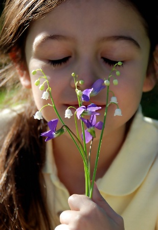 Gathering Violets