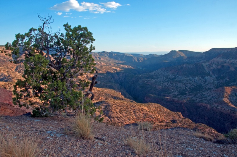 The Lower Black Canyon