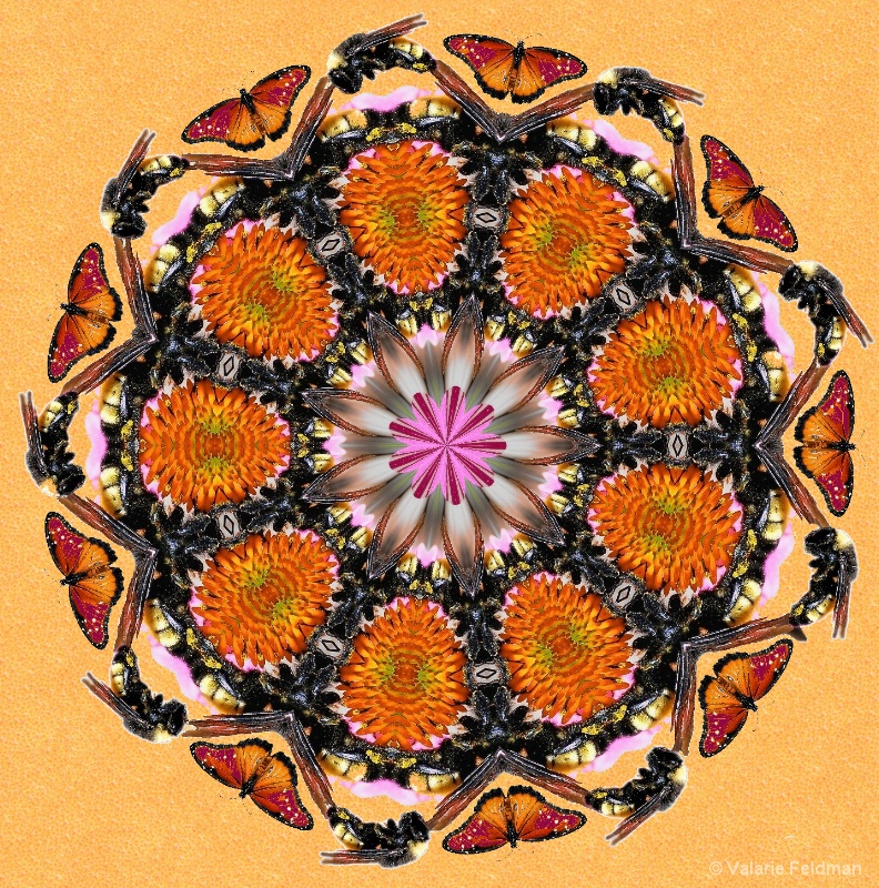 Butterflies, Bees and Flowers Mandala