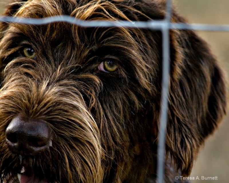 But I Want To Come Out And Play NOW!