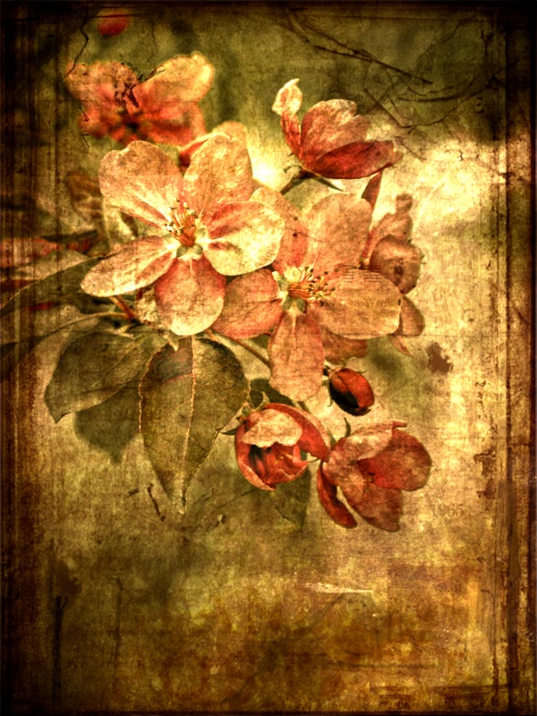 Vintage Floral