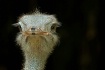 What's up?
