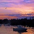 © Rochelle Berman PhotoID # 8858502: key biscayne sunset
