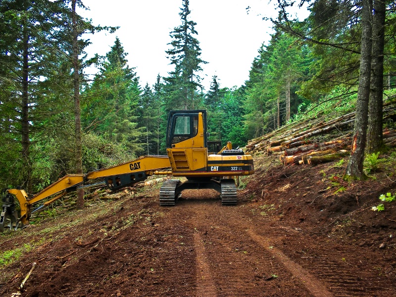 Cat Loader, Logging-Oregon