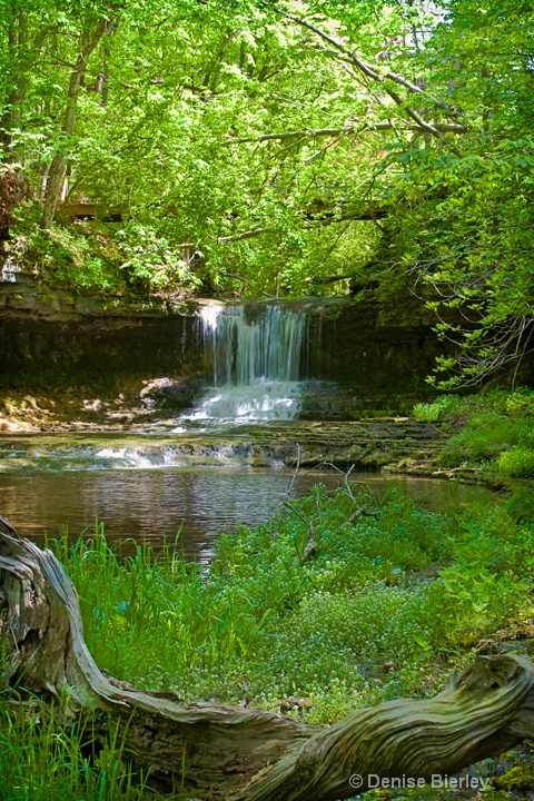 falls1 - ID: 8862874 © Denise Bierley