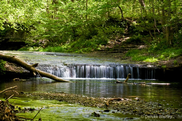 falls3 - ID: 8862879 © Denise Bierley